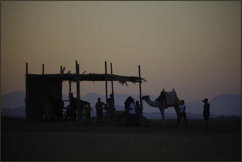 Der Mann und die Wüste - 3