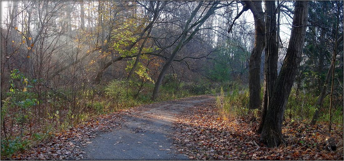 und wenn die Herbstahornblättern gefallen ...