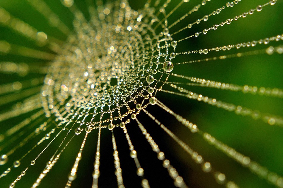 Ich fand die Sonne:)))