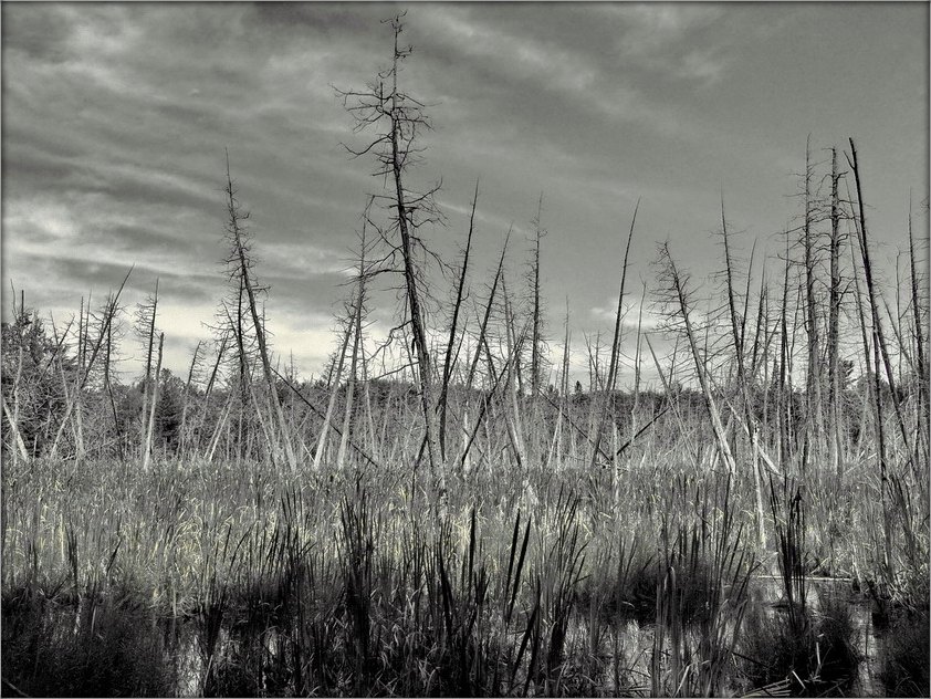 nedze auf Antaryyshchyne ...