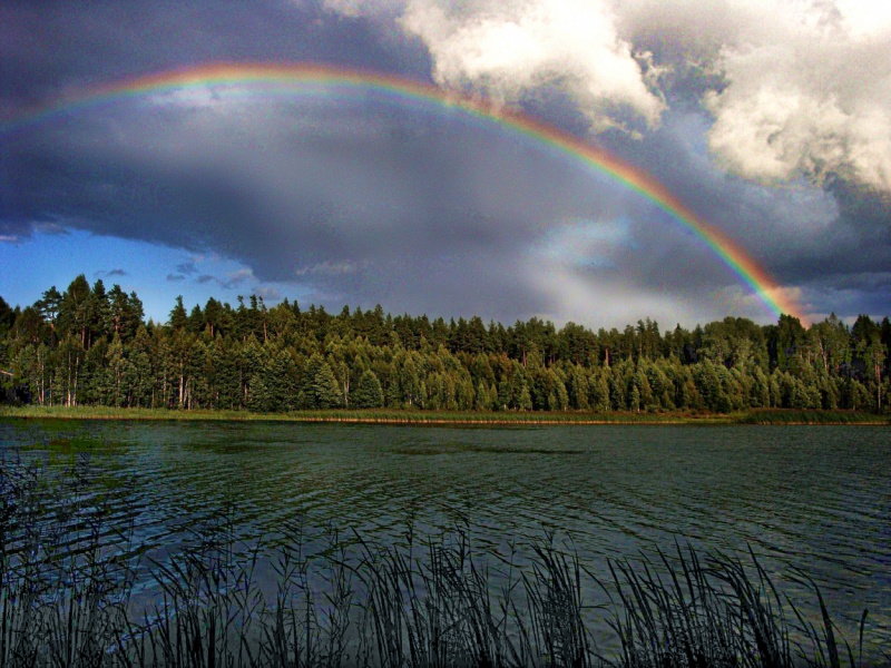 Ein Stück der Freude