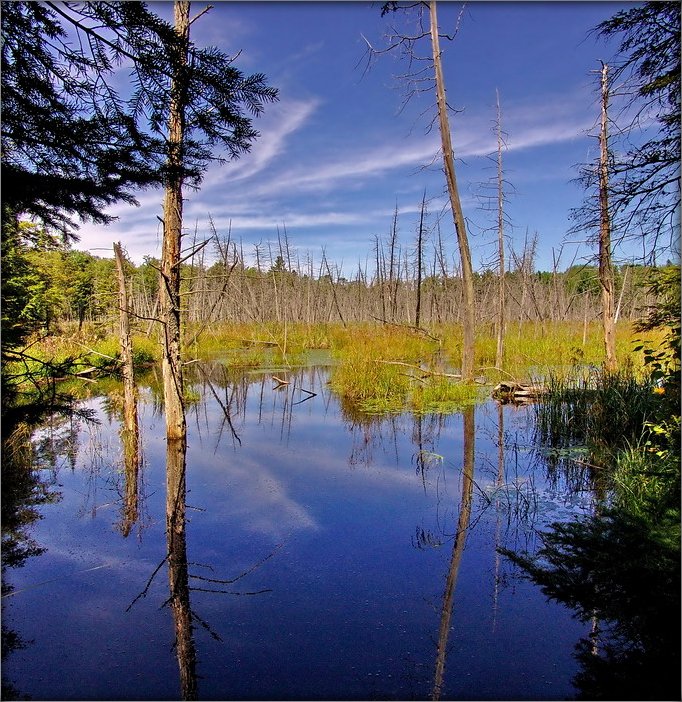 nedze auf Antaryyshchyne ... 2