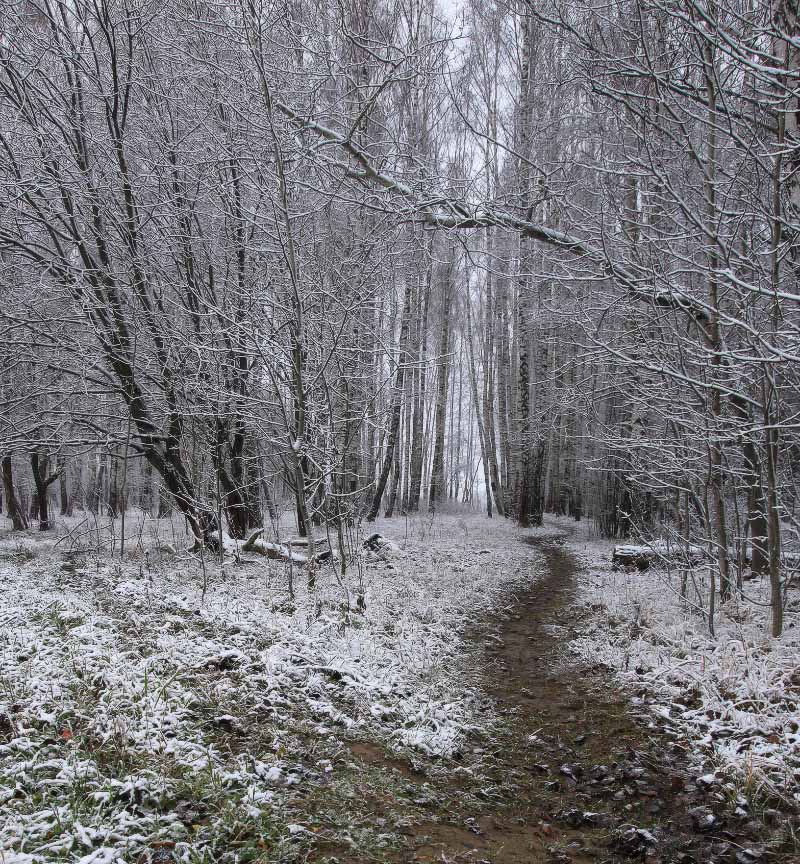 Erster Schnee in Moskau