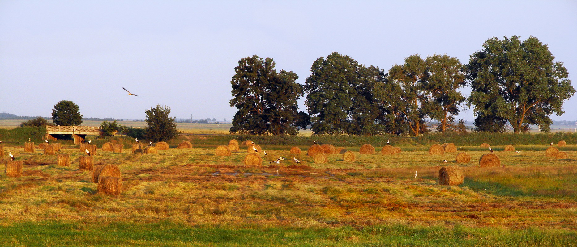 Vor dem Verlassen ....