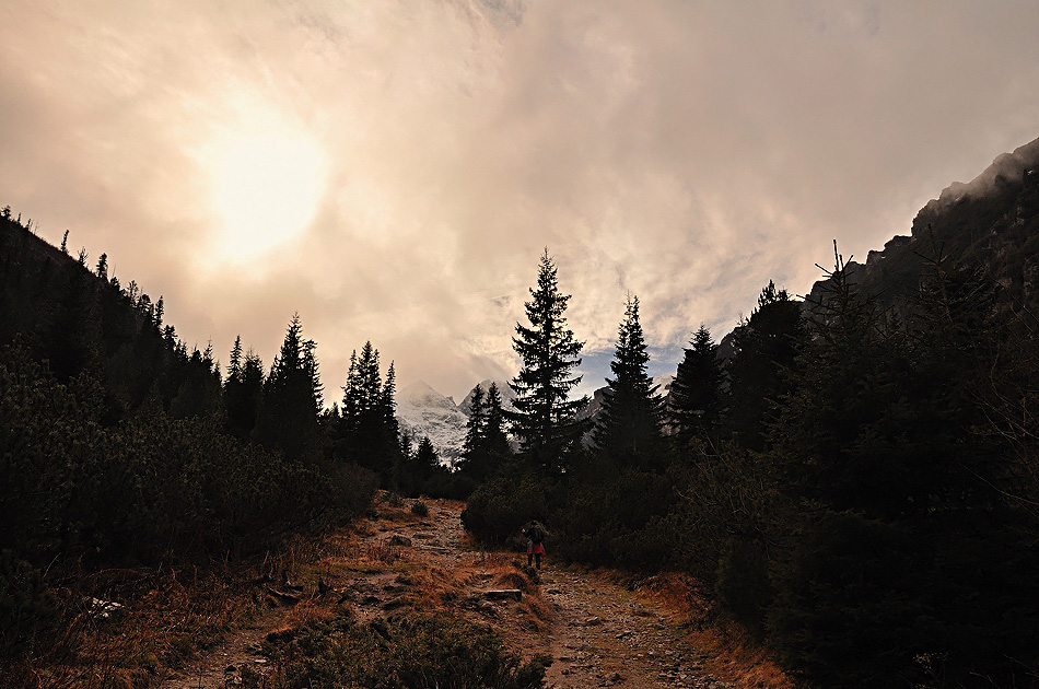 The Great Gig In The Sky