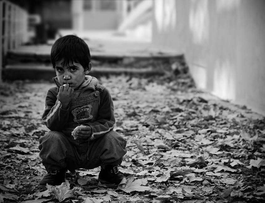 ein Junge und Blätter