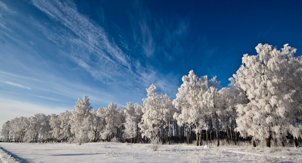 kak nevesti na smotrini