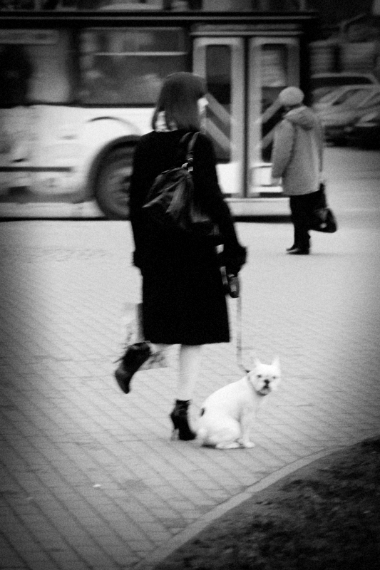 Heron mit einem Hund
