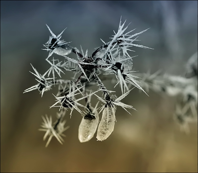 Schritte Lutscher ...