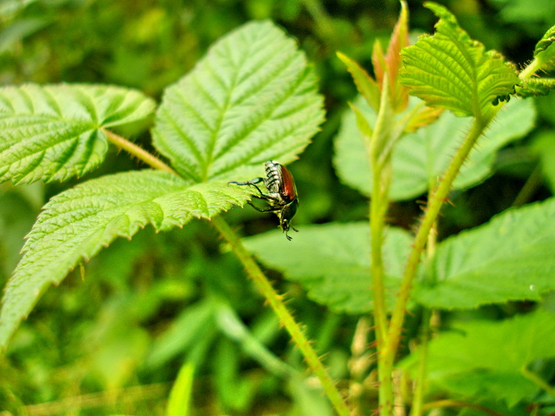 ... Jetzt habe ich fallen
