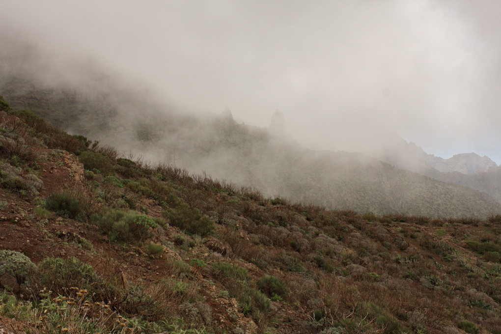 Als die Nacht hereinbricht, den Nebel