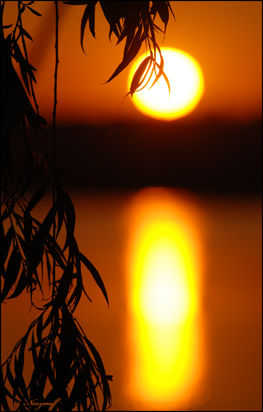 Afrikanische Motive südlichen Ukraine