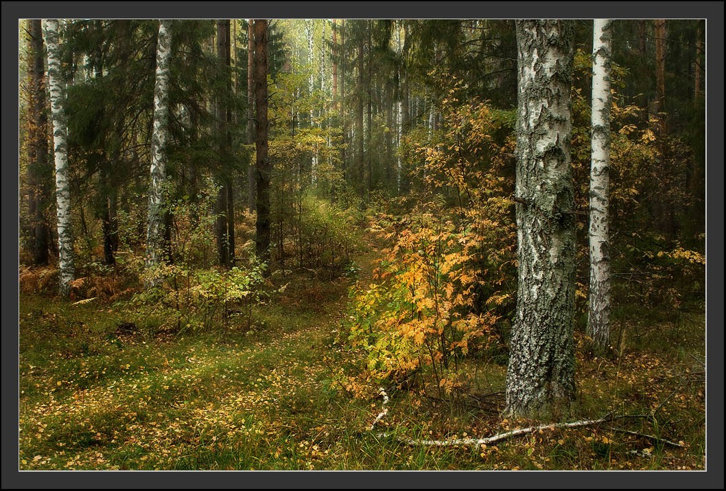 Wo sind Sie uvedesh ..