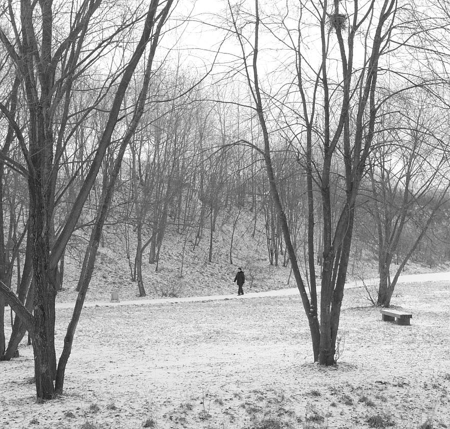 In dieser Welt, ich bin nur ein Passant ...