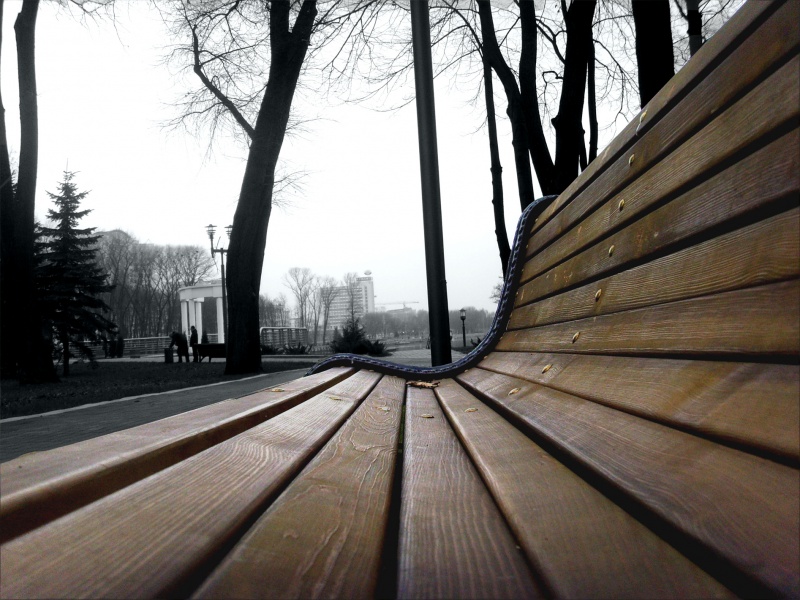 Das Leben in den Park