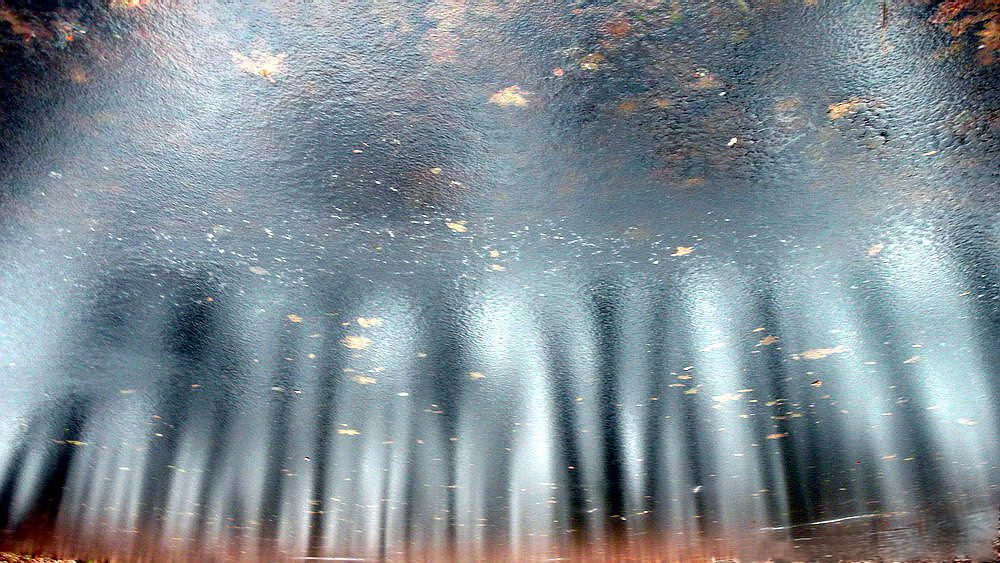 Eintauchen in eine Winterwelt