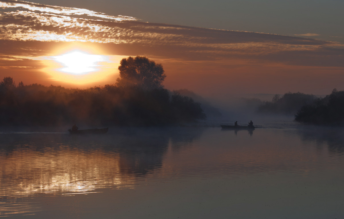 in den gelben Schein