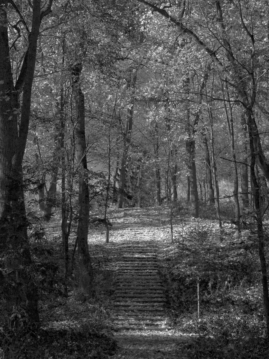 aufgegeben Park im Herbst