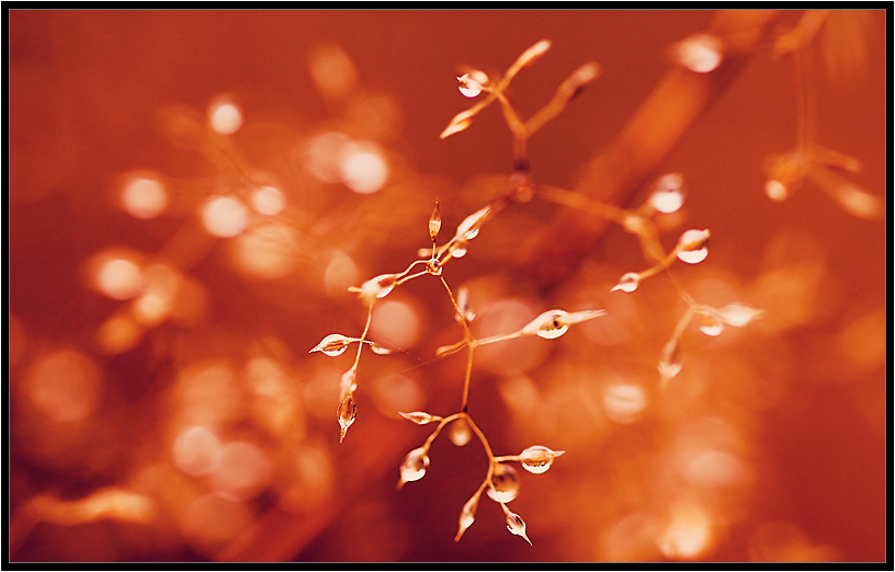 Hier ist ein Rückgang ...