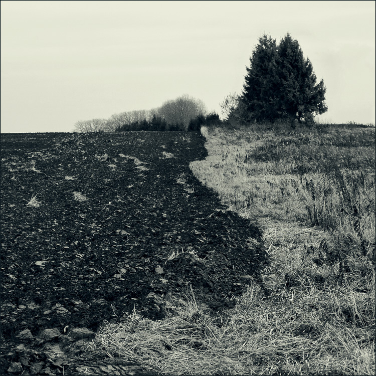 * (Springer Lehrbuch)