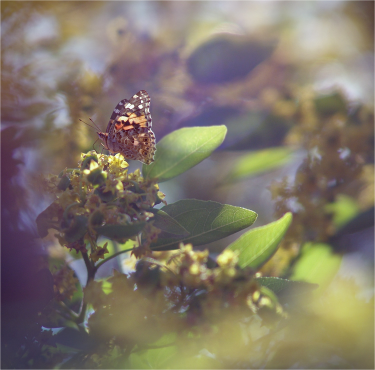 "Nein", um den Winter!