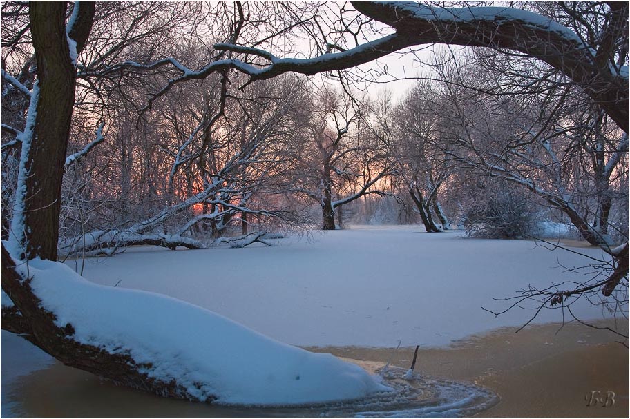 Tale of Winter Dämmerung