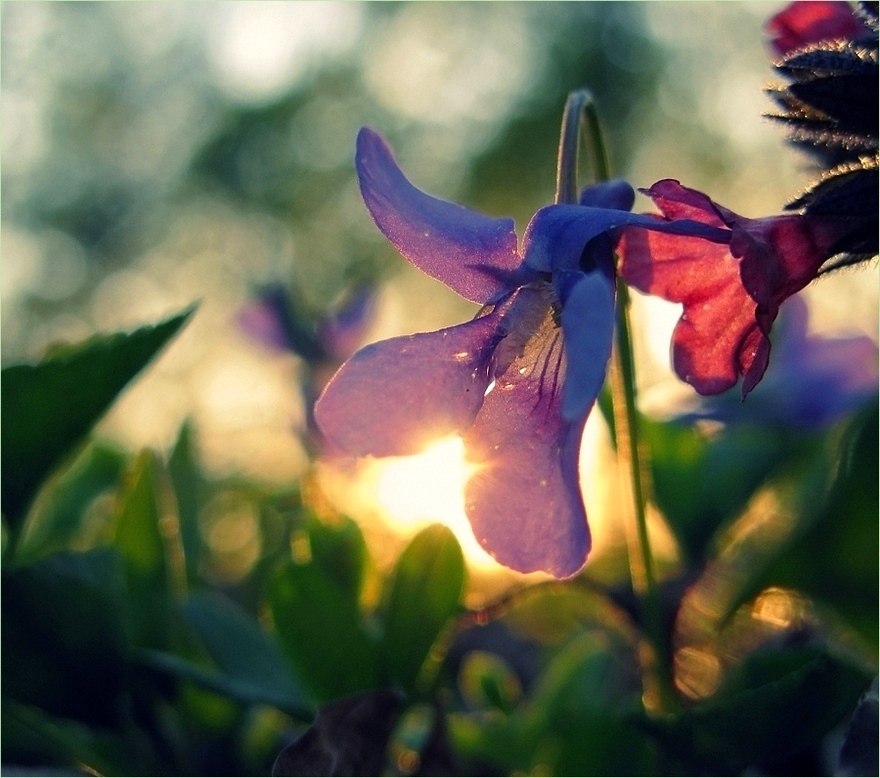 ... Catch Ihre Wärme .. und im Herzen verstecken .. ..