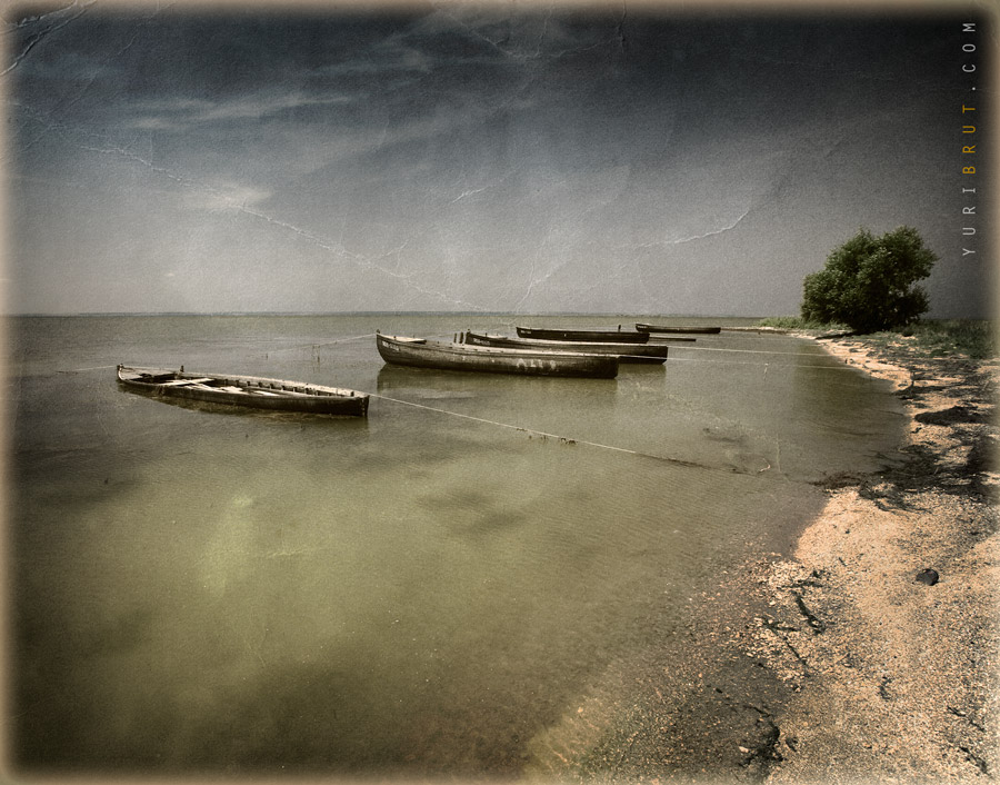 Boote II ̣ (Weinlese)