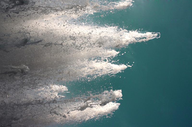 Der Sommer ist in vollem Gange