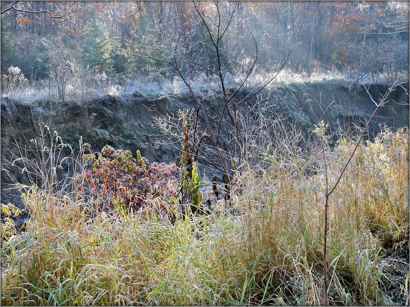 Im vergangenen Herbst Palette