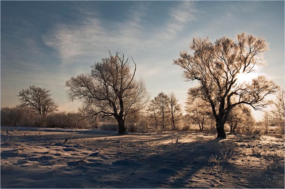 Frost und Sonne - ein wunderschöner Tag ...