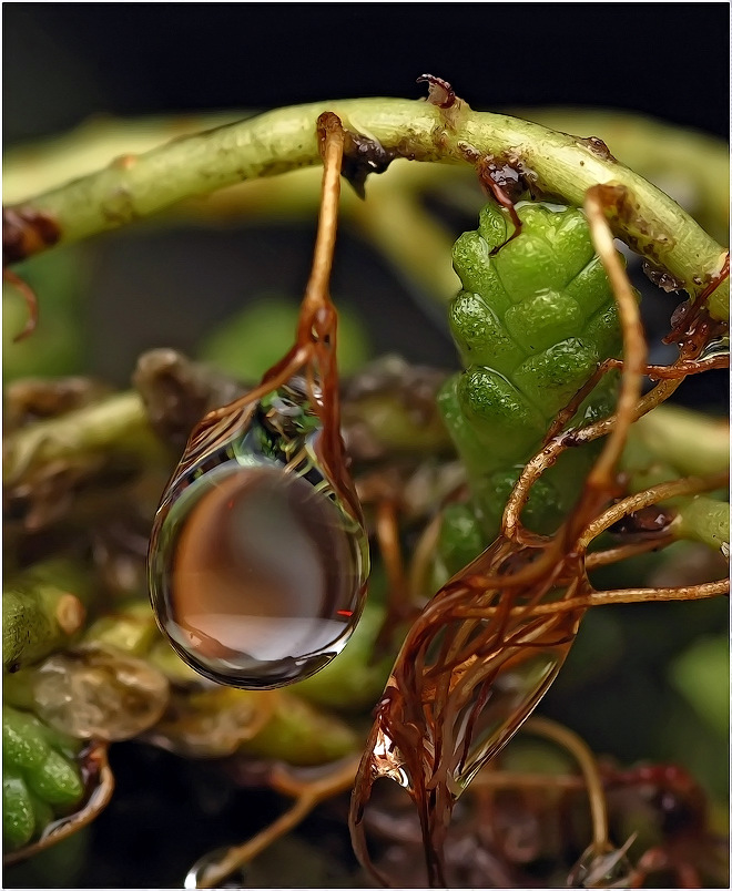 Von Ort zu treffen ...