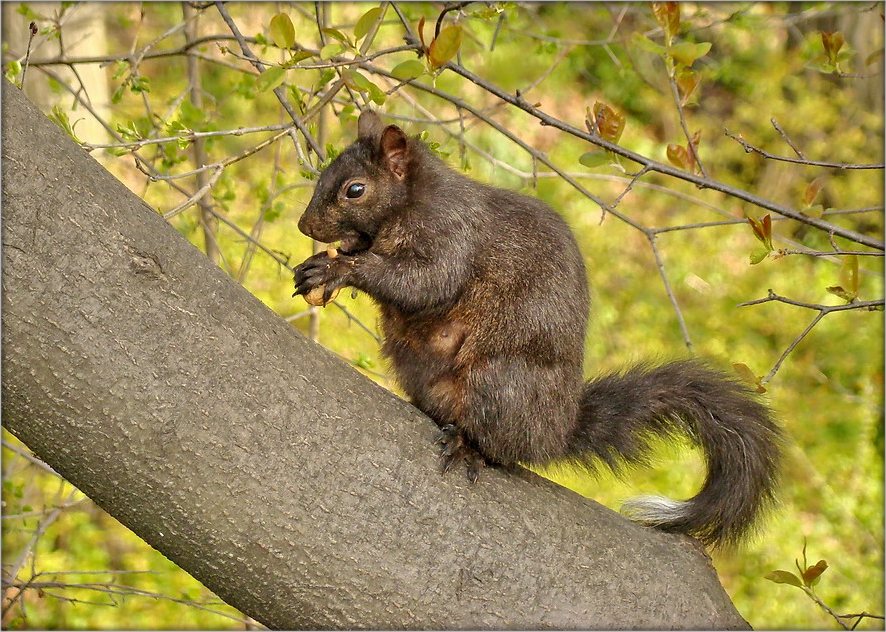 Wege in ein Protein - jeder Zweig