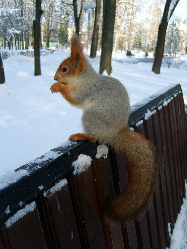 Portrait von Proteinen