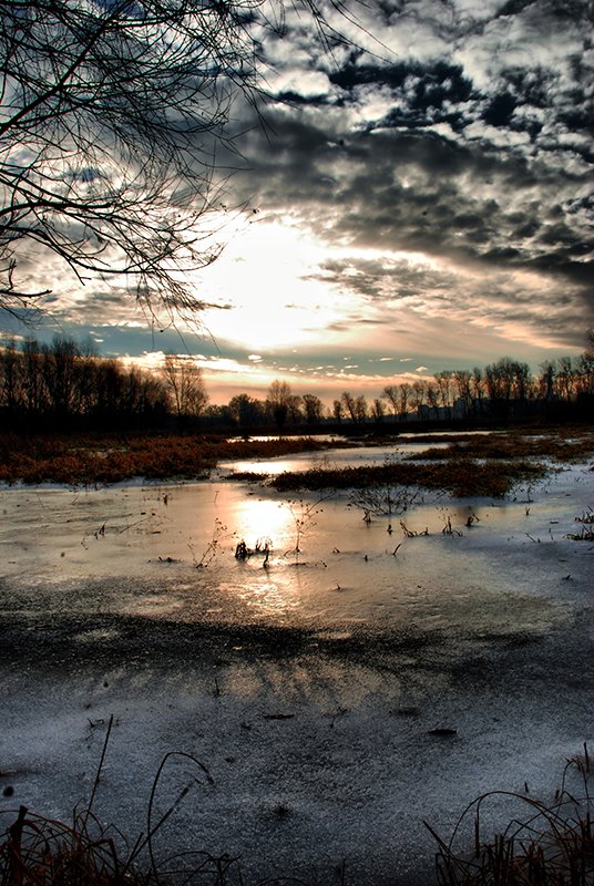 Gefrorene Landschaft
