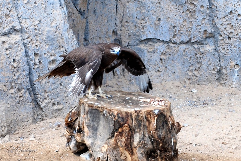 Zum ersten Mal in der ersten Klasse