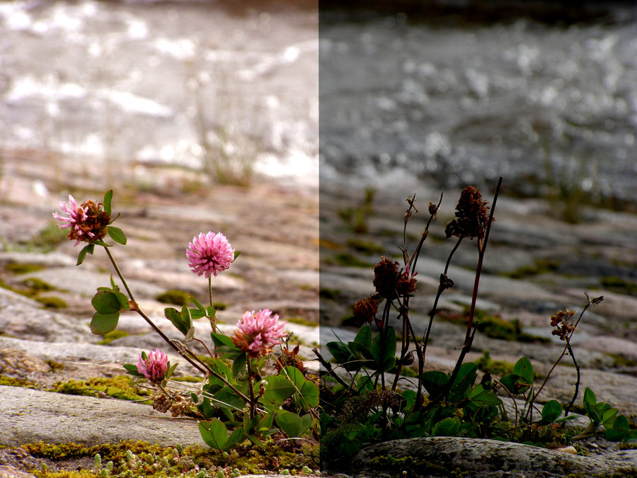 Was würden Sie tun?
