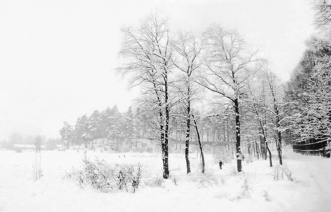 Leichtigkeit des Winters