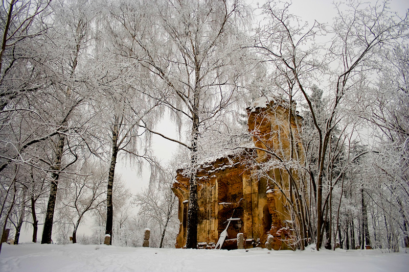 Hunderte von Zeugen Winter
