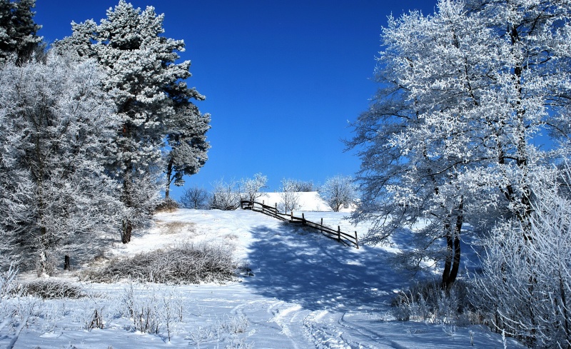 Wintersonne und einen schönen Tag