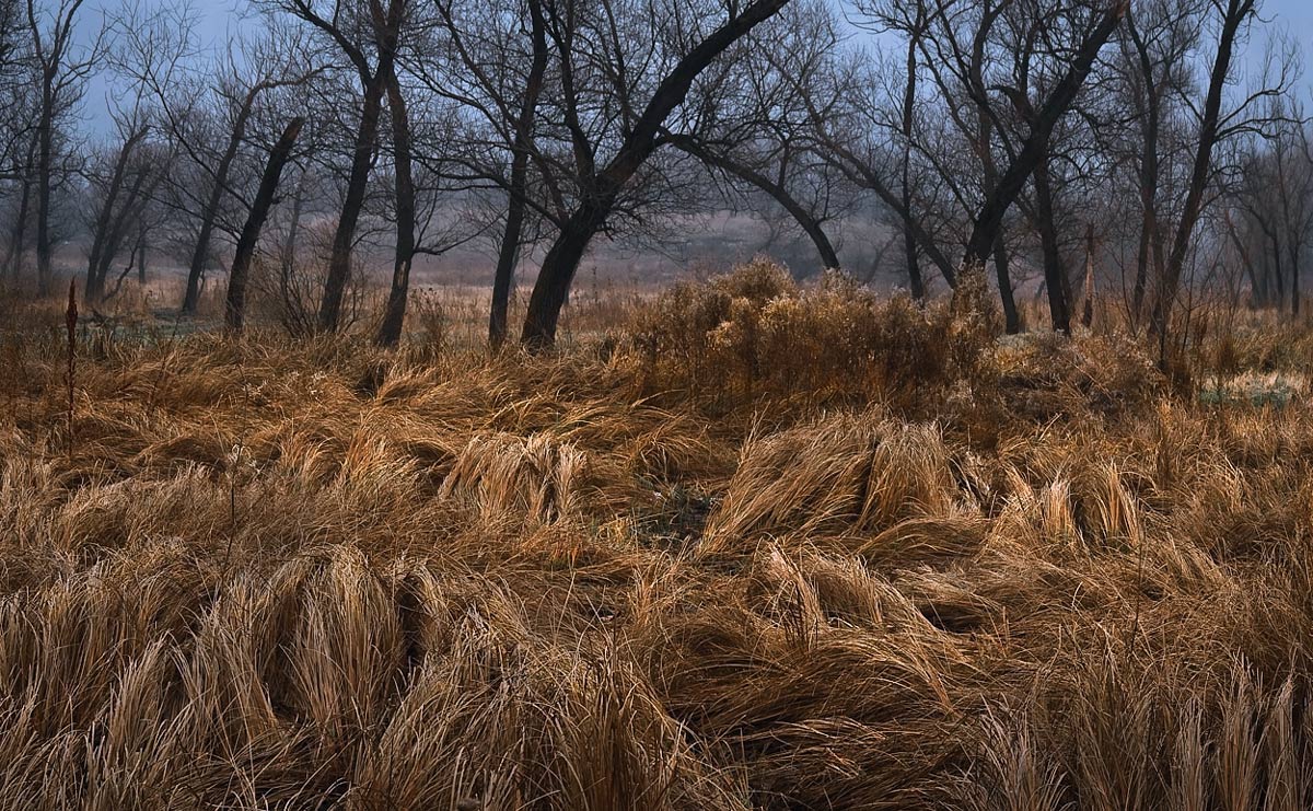 Überall dort, wo der Wind tanzt