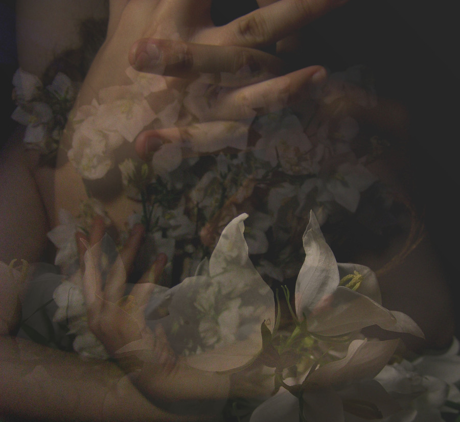 Millionen gering Lilie