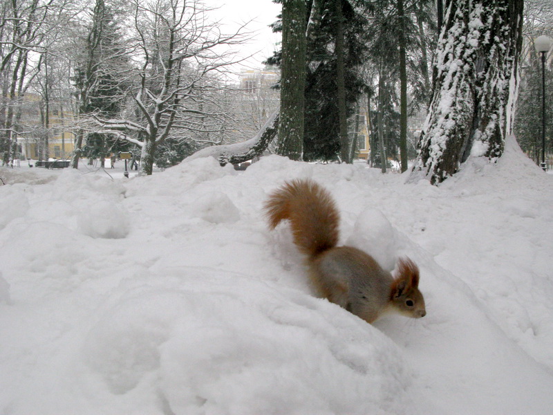 Suworow überquert die Alpen