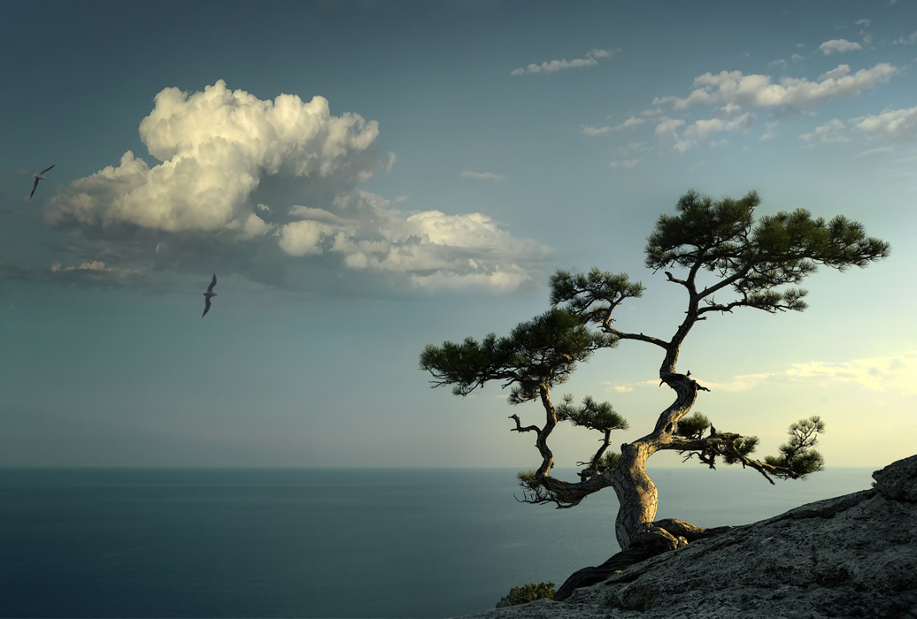 Das Gespräch mit dem Wind