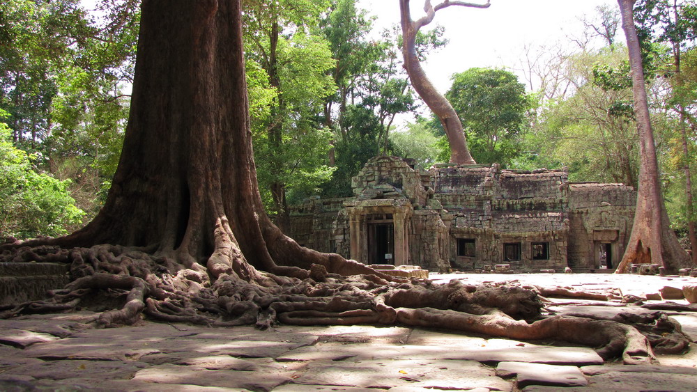 Der Tempel von Ta Prohm