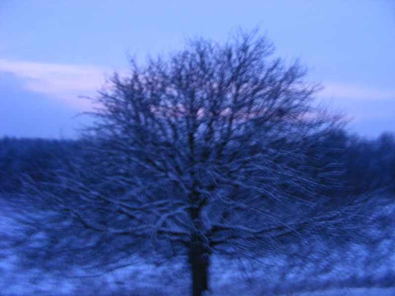 rozavy Sonnenuntergang