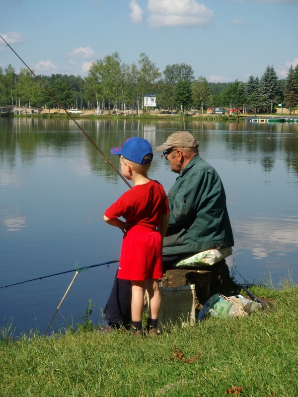Im Vorgriff auf die Goldfische