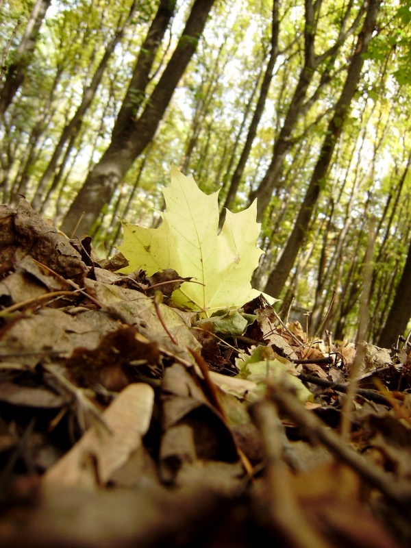 Grundlegendes .......