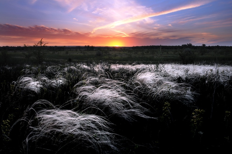 Die Geburt der Morgenröte