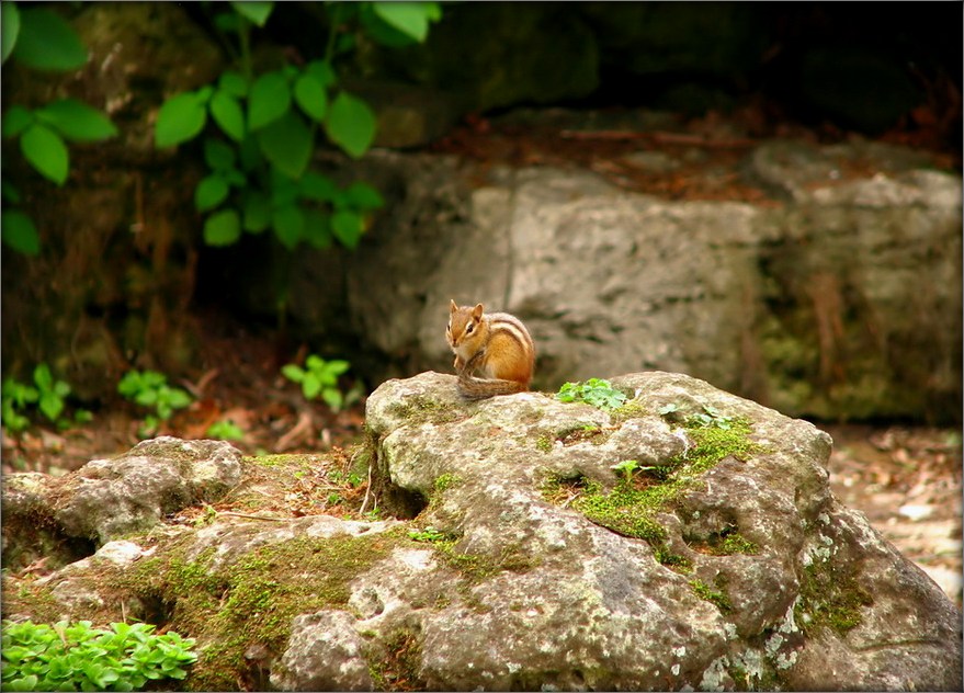 ... Und ich bin ein wenig